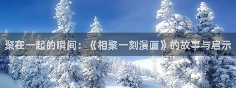 虫虫漫画网在线阅读免费：聚在一起的瞬间：《相聚一刻漫画》的故事与启示
