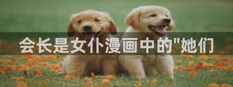 虫虫漫画官网：会长是女仆漫画中的\