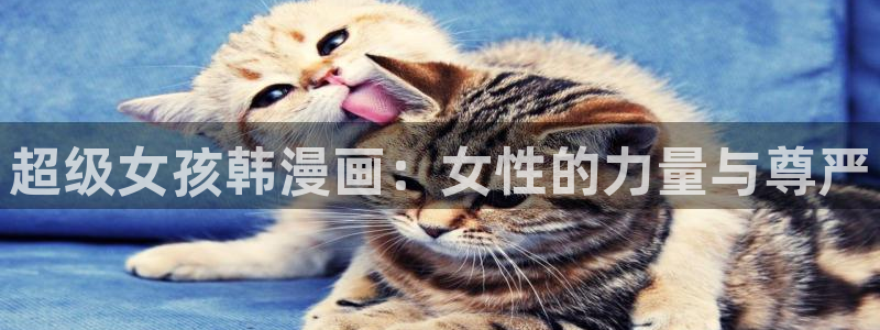 虫虫漫画免费：超级女孩韩漫画：女性的力量与尊严