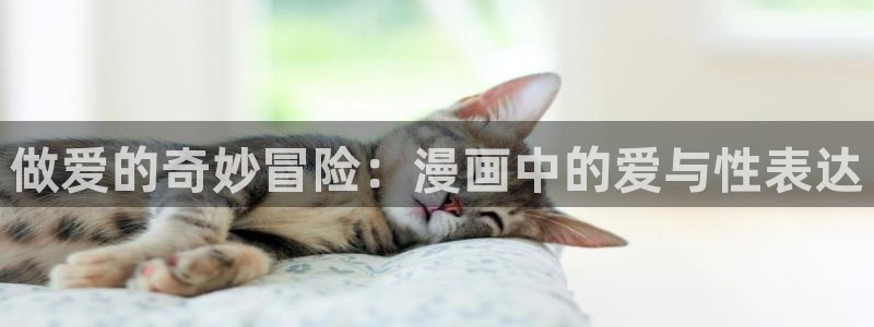虫虫漫画韩国在线观看：做爱的奇妙冒险：漫画中的爱与性表达