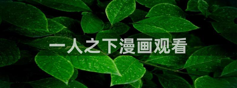 虫虫漫画网站：一人之下漫画观看
