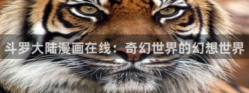 虫虫漫画在线观看漫画入口：斗罗大陆漫画在线：奇幻世界的幻想世界