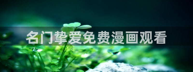 虫虫漫画网在线阅读免费阅读进击的：名门挚爱免费漫画观看