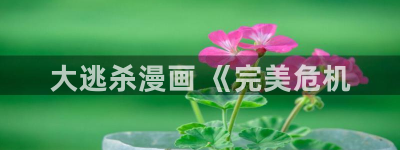 虫虫漫画无删减进入网址：大逃杀漫画 《完美危机