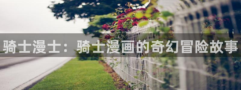 虫虫漫画cnmo：骑士漫士：骑士漫画的奇幻冒险故事