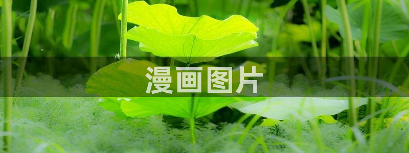 虫虫虫虫漫画：漫画图片